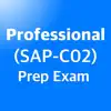 Professional SAP-C02 EXAM 2024