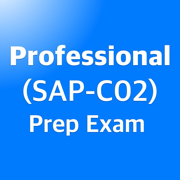 Professional SAP-C02 EXAM 2024