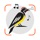 Bird Sounds Identifier Call ID