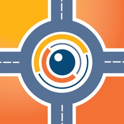 Real-Time Road Inspection