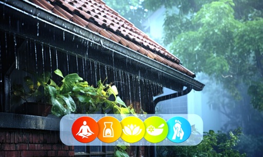 Rain on Tin Roof Sleep Sounds 應用圖示，美国 App Store 價格對比
