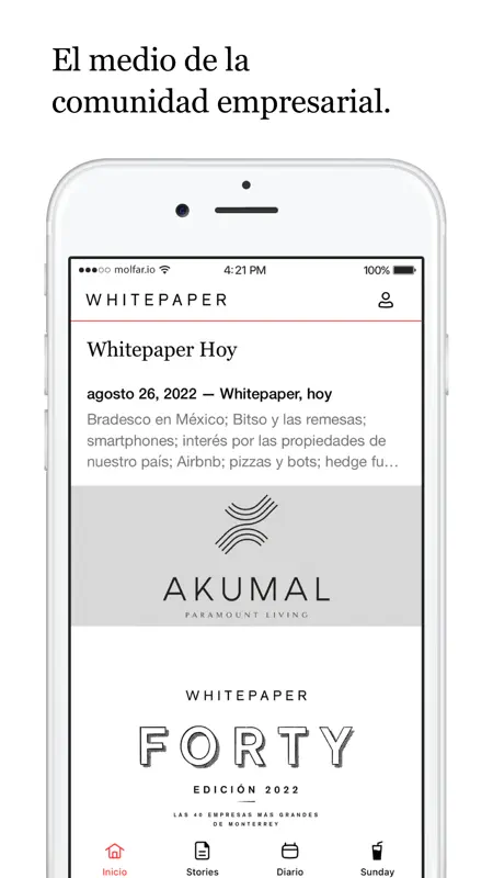 Whitepaper screenshot 1 of 5