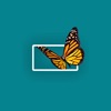 Moving Art icon