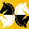 Bughouse Chess Online icon