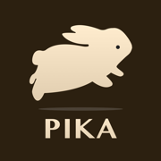 AI Pika Art-AI Video Generator
