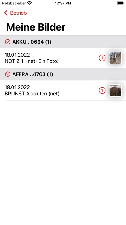 RDV-Mobil[AT] screenshot-6