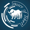 Voice of Tibet app icon - News app for iPhone