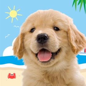 螢幕擷取畫面 (7) My Dog & Me: Puppy Simulator