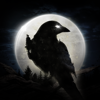 NIGHT CROWS - Wemade Co., Ltd.