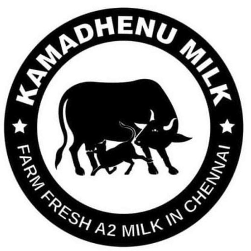 Kamadhenu Cow Milk  Chennai