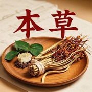 本草中医-人体经络穴位针灸中药方剂药膳健康营养食谱疾病大全