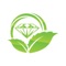 GoGreen Diamonds offers a new choice in diamonds