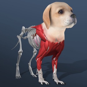 Ảnh chụp màn hình (6) Idle Pet - Create cell by cell