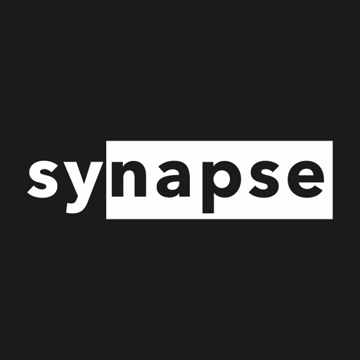 synapse - Guess the word