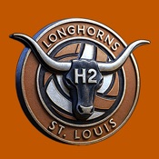 H2 SPORTS VOLLEYBALL