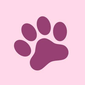 Screenshots (5) Catbot - Virtual Cat
