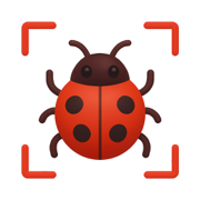 Insect Bug ıdentifier: BuggyID