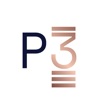 P3 Money icon