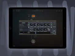 Spring Reverb iPad image 2