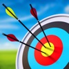 Arrow Master: Archery Game - iPadアプリ