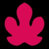 adamfengshui icon