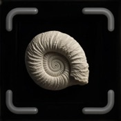 Fossil Identifier - FossilAI