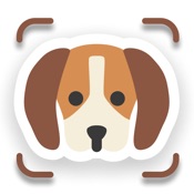 Dog Breed Identifier: AI
