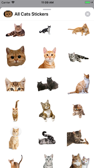 All Cats Stickers screenshot