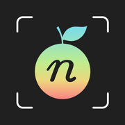 AI Calorie Counter Food Nutemi