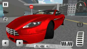Sport Car Simulator 3D screenshot 2