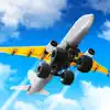 Crazy Plane Landing App Positive Reviews