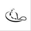 Tenis Liga icon