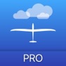Get iGlide Pro for iOS, iPhone, iPad Aso Report