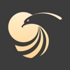 金鹰生活 icon