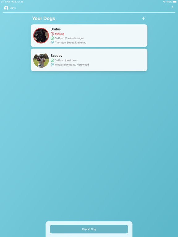 Screenshot #4 pour Doggone - Reuniting lost dogs