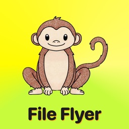 File Flyer EZ Share & Transfer