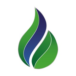 Americas LNG