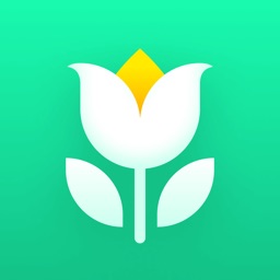 Plant Parent - Guide entretien