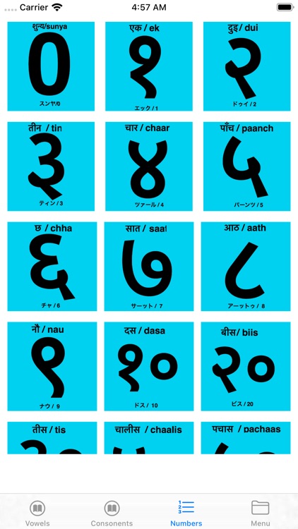 Nepali Phrase screenshot-4