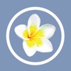 Kreolina icon