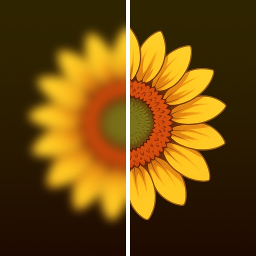 Photo Refinery: Upscale Refine