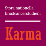 KarmApp на пк