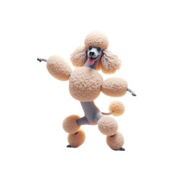 Dancing Poodles