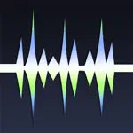 WavePad Music and Audio Editor App Negative Reviews