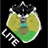 RadAnatomyLite icon