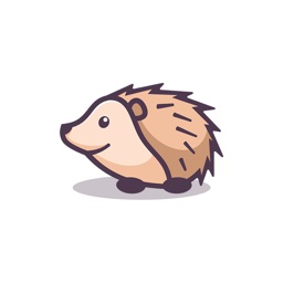 Little Hedgehog Graffiti
