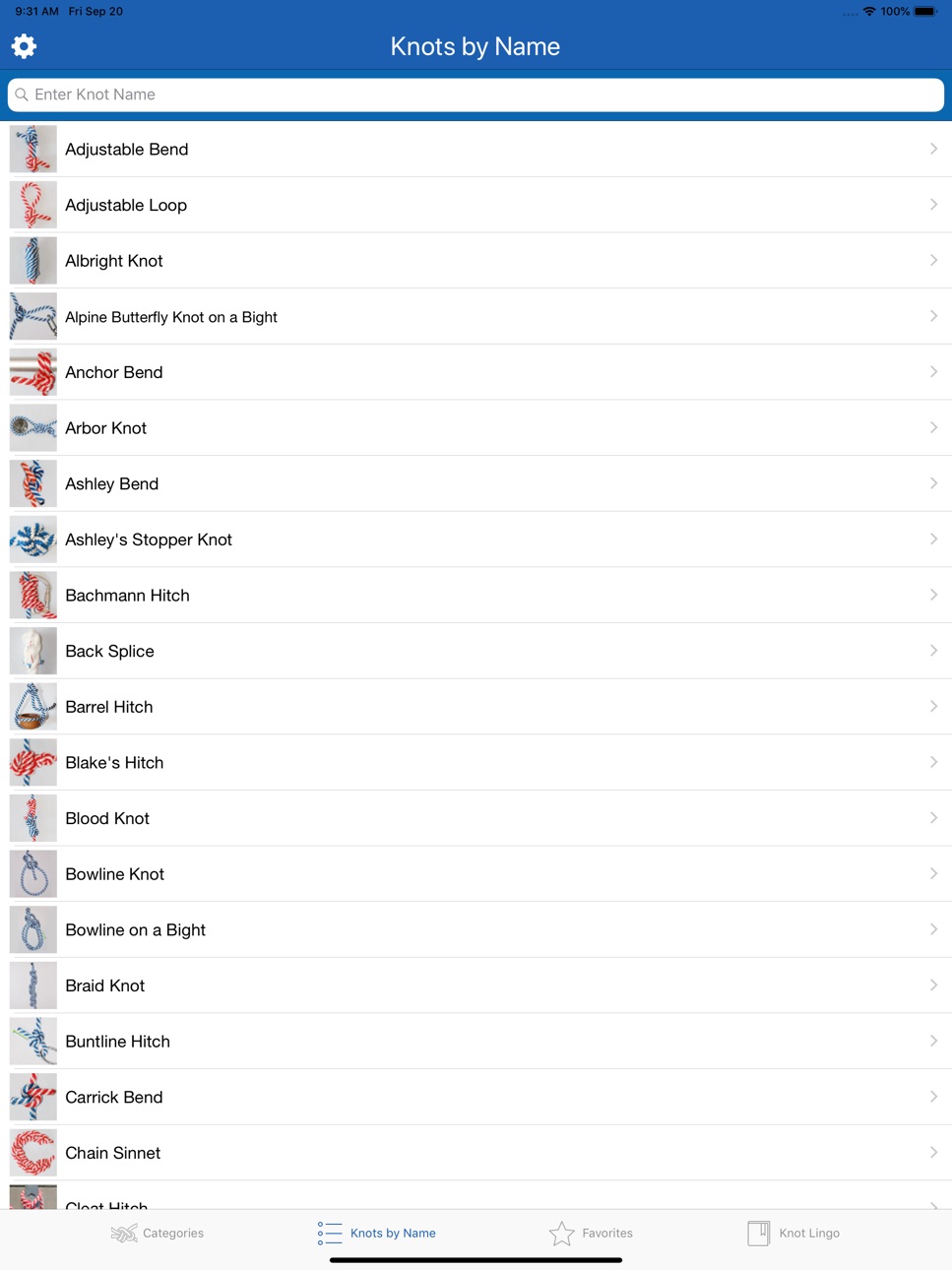iPad screenshot