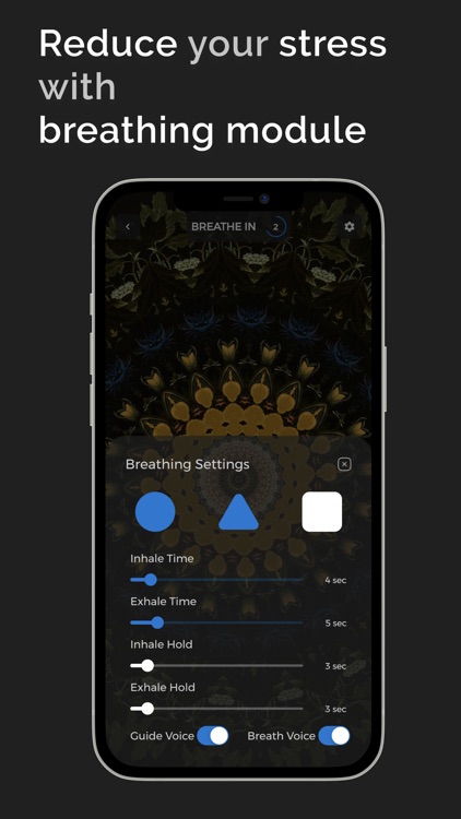 Mistikist: The Mind Programmer screenshot-5