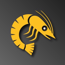 GSG.live Jam Strategies