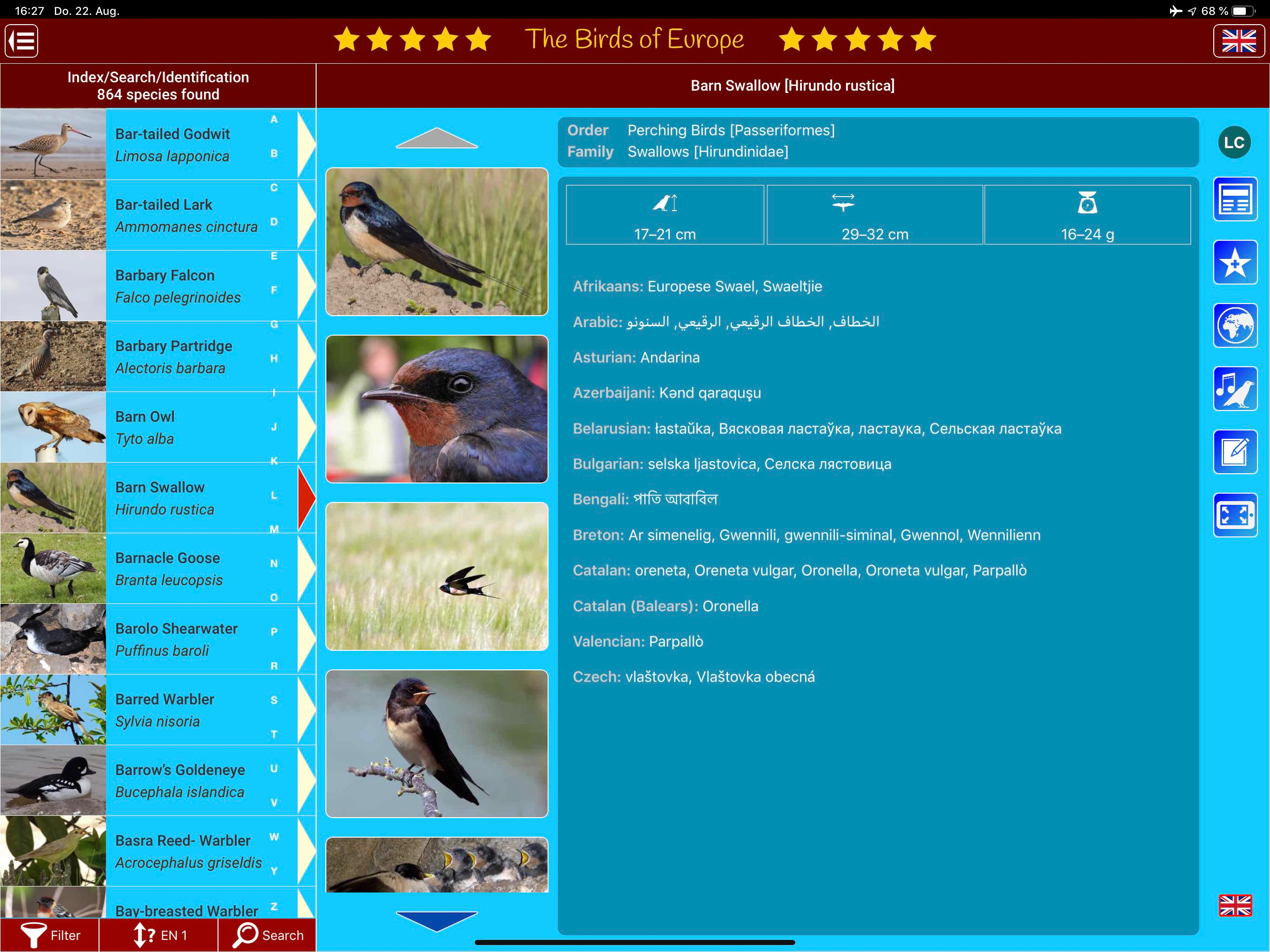 Birds of Europe screenshot 15